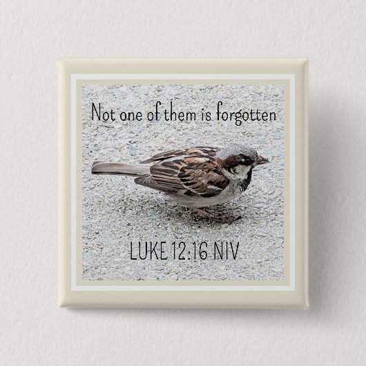 Niedlicher Sparrow Bird Foto Bibel Verse Simple Ta Button (Vorderseite)