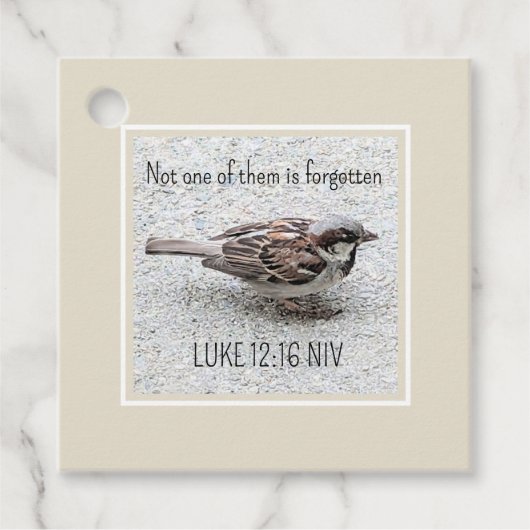 Niedlicher Sparrow Bird Foto Bibel Verse Simple Ta Geschenkanhänger (Vorderseite)