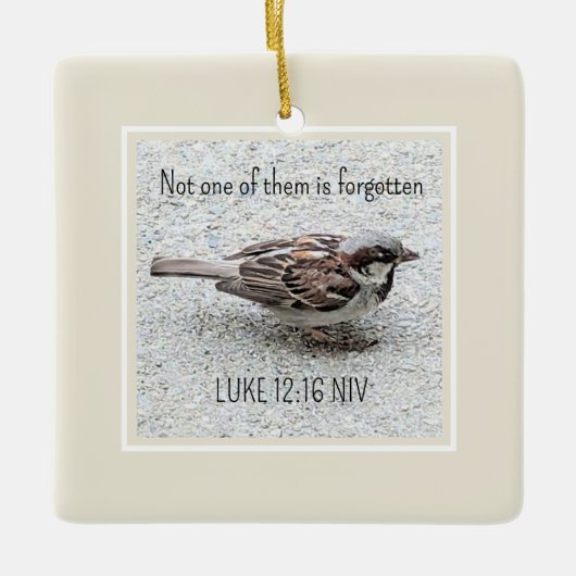 Niedlicher Sparrow Bird Foto Bibel Verse Simple Ta Keramikornament (Vorderseite)