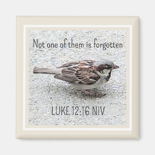 Niedlicher Sparrow Bird Foto Bibel Verse Simple Ta Magnet (Vorne)