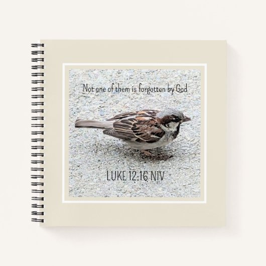 Niedlicher Sparrow Bird Foto Bibel Verse Simple Ta Notizblock (Vorderseite)