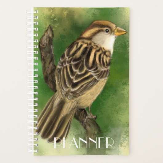 Niedlicher Sparrow-Planer Planer (Vorderseite)