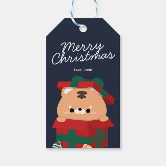 Niedlicher Spaß frohe Weihnachten Geschenkanhänger (Vorderseite)