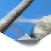 Niedlicher Spatz Poster (Ecke)