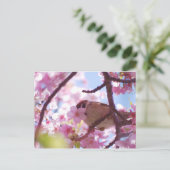 niedlicher Speck auf dem Kirschbaum Postkarte (Stehend Vorderseite)