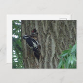 Niedlicher Specker mit Youngling DIY Postkarte (Vorne/Hinten)