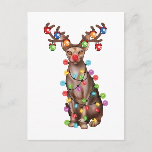 Niedlicher Sphynx Cat Lover Weihnachten Weihnachte Postkarte (Vorderseite)