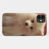 Niedlicher Spitz Case-Mate iPhone Hülle (Rückseite (Horizontal))