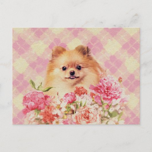 Niedlicher Spitz Deutscher Spitz mit Blume Postkarte (Vorderseite)