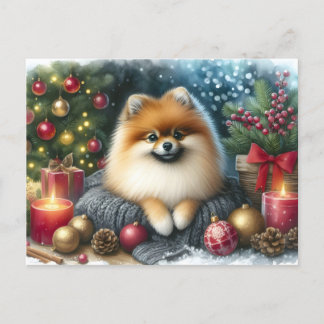 Niedlicher Spitz Gemütliches Ambiente Postkarte