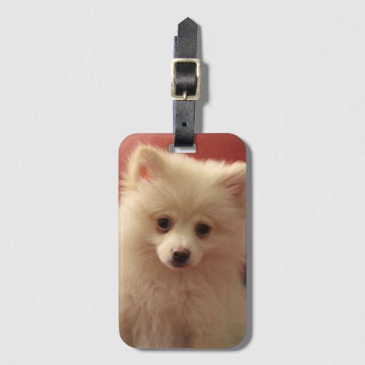 Niedlicher Spitz Gepäckanhänger (Vorderseite Vertikal)