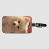 Niedlicher Spitz Gepäckanhänger (Vorderseite (Horizontal))