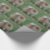 Niedlicher Spitz Geschenkpapier (Ecke)