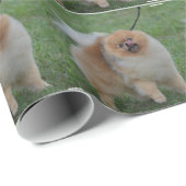 Niedlicher Spitz Geschenkpapier (Rolleneckpunkt)