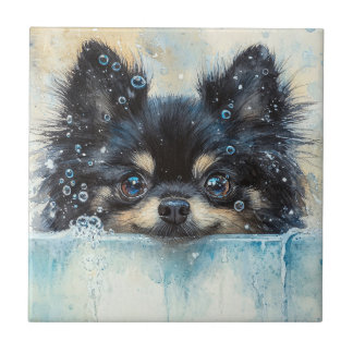 Niedlicher Spitz Hund in der Badewanne Fliese
