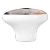 Niedlicher Spitz Hund Keramikknauf (Seitenansicht)