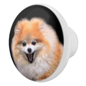 Niedlicher Spitz Hund Keramikknauf (Rechts)