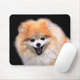 Niedlicher Spitz Hund Mousepad