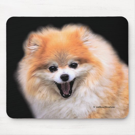 Niedlicher Spitz Hund Mousepad (Vorne)