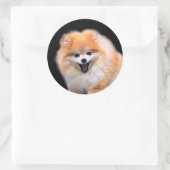 Niedlicher Spitz Hund Runder Aufkleber (Tasche)
