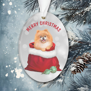 Niedlicher Spitz Hunde Geschenk Überraschung Ornam Ornament