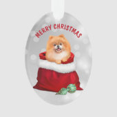 Niedlicher Spitz Hunde Geschenk Überraschung Ornam Ornament (Vorderseite)