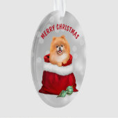 Niedlicher Spitz Hunde Geschenk Überraschung Ornam Ornament (Vorderseite)