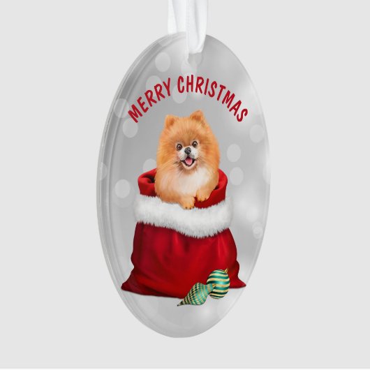 Niedlicher Spitz Hunde Geschenk Überraschung Ornam Ornament (Vorderseite)
