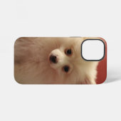 Niedlicher Spitz iPhone Hülle (Rückseite (Horizontal))