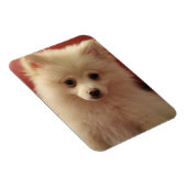 Niedlicher Spitz Magnet (Rechte Seite)