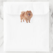 Niedlicher Spitz Mama Welpen Hund Lover Pom Pom Quadratischer Aufkleber (Tasche)