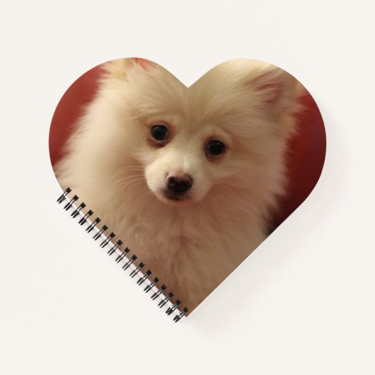 Niedlicher Spitz Notizblock (Vorderseite)