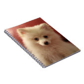 Niedlicher Spitz Notizblock (Rechte Seite)