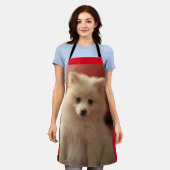 Niedlicher Spitz Schürze (Getragen)