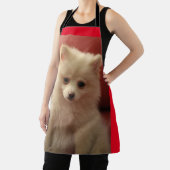 Niedlicher Spitz Schürze (InSitu)