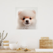 Niedlicher Spitz Welpenportrait Poster (Küche)