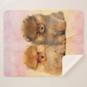 Niedlicher Spitzdeutsche Spitz-Welpen Sherpadecke (Vorderseite (Horizontal))