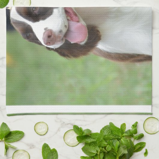 Niedlicher SpringerSpaniel Geschirrtuch (Gefaltet)