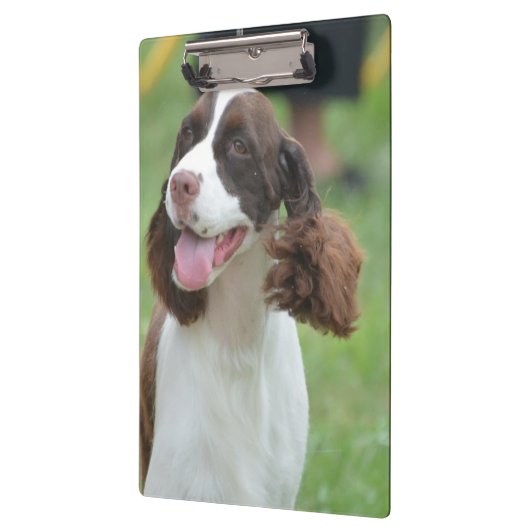 Niedlicher SpringerSpaniel Klemmbrett (Links)