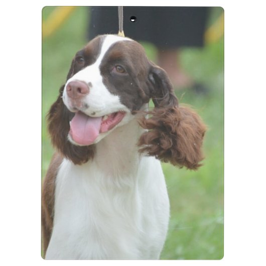 Niedlicher SpringerSpaniel Klemmbrett (Rückseite)