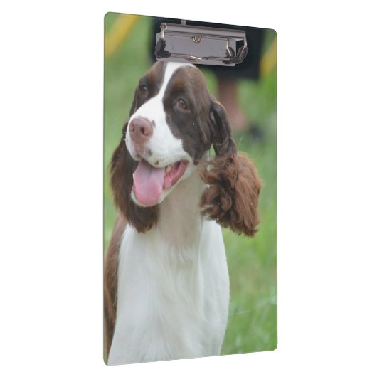 Niedlicher SpringerSpaniel Klemmbrett (Rechts)