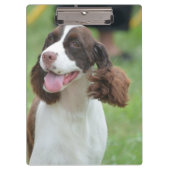 Niedlicher SpringerSpaniel Klemmbrett (Vorderseite)