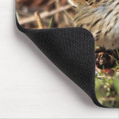 Niedlicher Spunky Lincoln-Sparrow-Songbird Mousepad (Ecke)