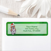 Niedlicher St. Bernard in Weihnachtsmannmütze auf (Insitu)