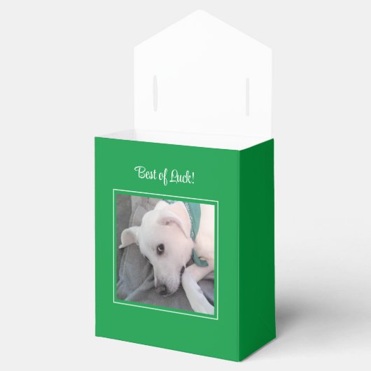 Niedlicher St. Patrick's Day Green Lazy Dog Geschenkschachtel (Geöffnet)