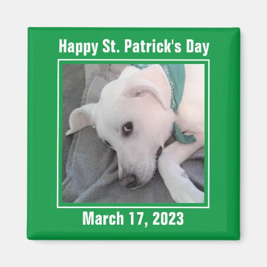 Niedlicher St. Patrick's Day Green Lazy Dog Magnet (Vorne)