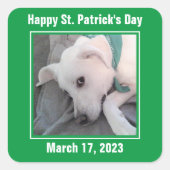 Niedlicher St. Patrick's Day Green Lazy Dog Quadratischer Aufkleber (Vorderseite)