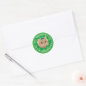 Niedlicher St. Patrick's Day Hamster durchblättert Runder Aufkleber (Umschlag)