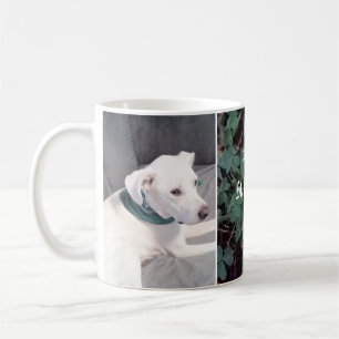 Niedlicher St. Patrick's Day Kleeblatts and Clover Kaffeetasse