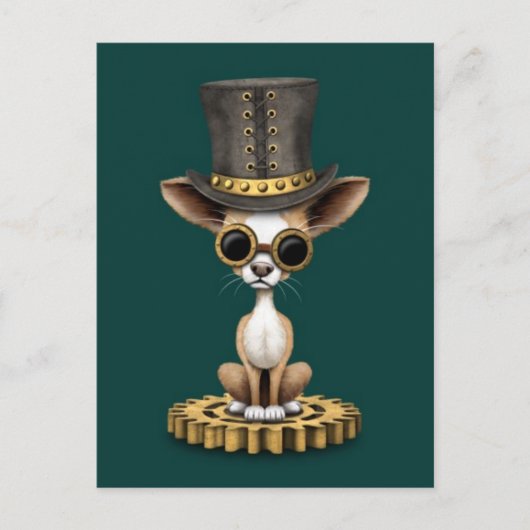 Niedlicher Steampunk Chihuahua Welpen Hund, aquama Postkarte (Vorderseite)